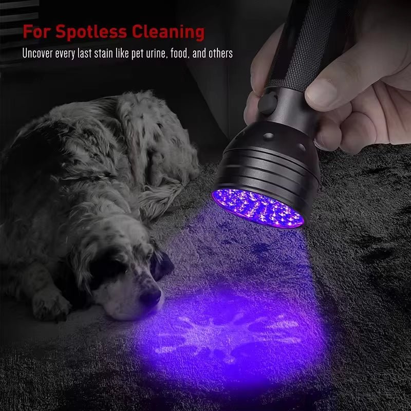 Portable UV Flashlight